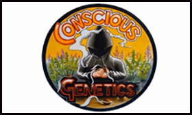 Conscious Genetics Najwięksi producenci nasion marihuany