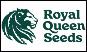 Royal Queen Seeds Najwięksi producenci nasion marihuany