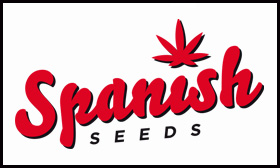 Spanish Seeds Tanie nasiona marihuany